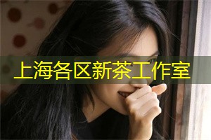 Linguistic diversity in Shanghai and educational policies